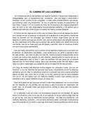 El camino de las lagrímas. En el transcurso de la vida siempre nos esperan cambios o situaciones inesperadas y desagradables