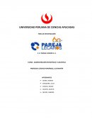 TEMA DE INVESTIGACIÓN [pic 2] E. B. PAREJA LECAROS S. A.