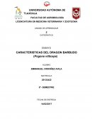 Dibujo LÍCENCIATURA EN MEDICINA VETERINARIA Y ZOOTECNIA