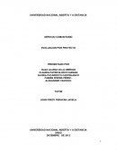 Evaluacion por proyecto.