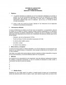 Informe de laboratorio fisica.