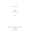 Momento 3 Gerencia Estrategica.