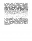 Ladrillera investigacion de mercados.