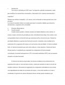 Una ortesis es definida por la ISO como “un dispositivo aplicado externamente