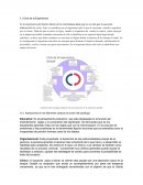 Ensayo-) Aplicaciones en los diferentes campos de acción del psicólogo