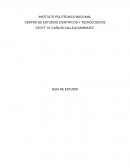 INSTITUTO POLITECNICO NACIONAL CENTRO DE ESTUDIOS CIENTIFICOS Y TECNOLOGICOS CECYT 10 “CARLOS VALLEJO MARQUEZ”