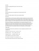 Informe de un proyecto estundiantil.