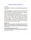 Plataformas Comerciales de Comercio Electrónico