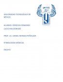 De las familias lingüísticas, la más importante para nosotros es la indoeuropea, ya que, de esa deriva nuestra lengua.