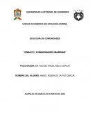 COMUNIDADES MARINAS.