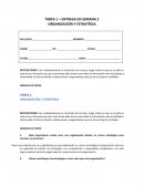 Ejemplo de Tarea 1-organizacion y estrategia