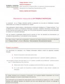 La Preparación y resolución de UN TRABAJO INDIVIDUAL.