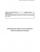 RESPONSABILIDADES JURÍDICAS DE LOS FUNCIONARIOS Y DIRECTIVOS GENERALES DE MI EMPRESA
