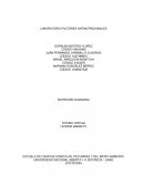 Informe nutrición animal avanzada