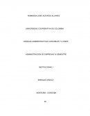 La crisis económica ambiental y social