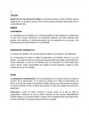 Pensamiento sistemico Desarrollo de una ciencia de trabajo: en donde se busca el mayor beneficio para la organización, en la lectura vemos como el banco genera intereses altos donde solo se ve beneficiado ellos.