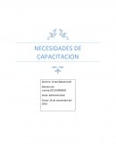 NECESIDADES DE CAPACITACION.