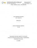 Inclusion social analisis videos