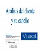 ANÁLISIS DE LAS CARACTERÍSTICAS DEL CLIENTE Y SUS CABELLOS.