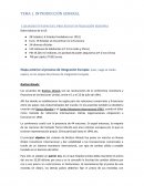 GRANDES ESTAPAS DEL PROCESO DE INTEGRACIÓN EUROPEA