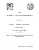 Evidencia n.2 Reporte de debate, ¿Fueron manipulados los datos de Mendel?.