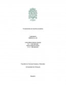 Informe de laboratorio metodo job.