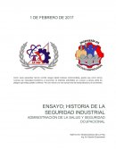 De acuerdo a los inicios de las investigaciones basadas en la seguridad de los trabajadores se toman en cuenta a muchos pioneros como el Padre de la toxicología