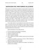 Un refugia para perros.