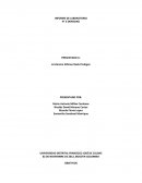 Informe densidad INFORME DE LABORATORIO