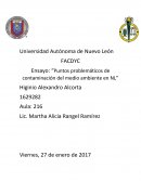 Ensayo: “Puntos problemáticos de contaminación del medio ambiente en NL”