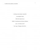 La diferencia entre adiestrar y desarrollar