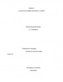 Colombia ha pasado por muchos procesos de paz, durante los cuales los actores armados han seguido cometiendo ataques a la población civil, secuestros