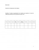 Identificar 6 niveles de organización de la materia que componen a la cola de caballo para entender cómo se estudian los seres vivos