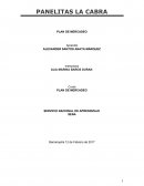 PLAN DE MERCADEO SERVICIO NACIONAL DE APRENDIZAJE