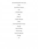 Ensayo ciudades sustentables.