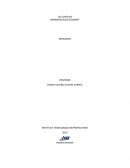 Ejemplo de estudio de mercadeo de un producto nuevo HAMBURGUESAS GOURMET