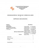 Contabilidad de empresas aseguradoras.