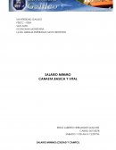 Canasta Basica y Canasta Basica Vital.