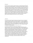 El lado bueno de las cosas ensayo