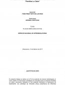 FORMULACION ESTRATEGICA PARA EL PLAN DE MERCADEO “Panelitas La Cabra