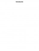 Análisis del proyecto “Sol Supply”: Navegando la ola tecnológica