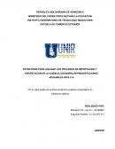 ESTRATEGIA PARA AGILIZAR LOS PROCESOS DE IMPORTACION Y EXPORTACION EN LA AGENCIA ADUANERA REPRESENTACIONES ADUANALES IRCA C.A