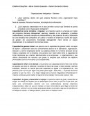 ¿Qué sistemas dentro del gran sistema Siemens como organización logra identificar?