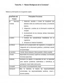 Detención sensible a través de receptores que detectan todos los cambios del cuerpo y el ambiente externo.