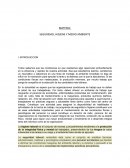 Seguridad e higiene SEGURIDAD, HIGIENE Y MEDIO AMBIENTE