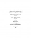 EVIDENCIA 1 CAPITULO 1