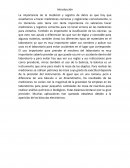 Actividad metacognicion LCE 2 etapa 2.