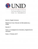 Investigación de mercados y Segmentos de mercados