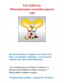 Vitaminas liposolubres