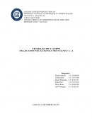 Trabajo de Campo Telecomunicaciones Movilnet C.A.